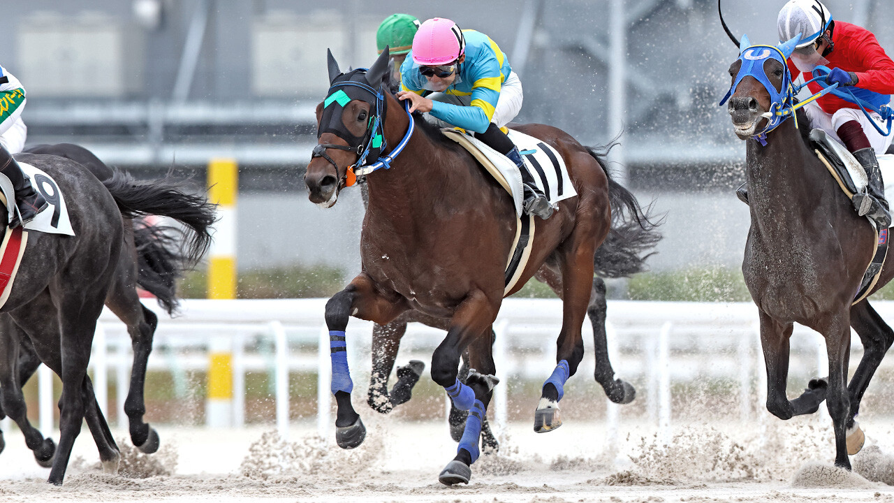 ブルーリュバン 写真