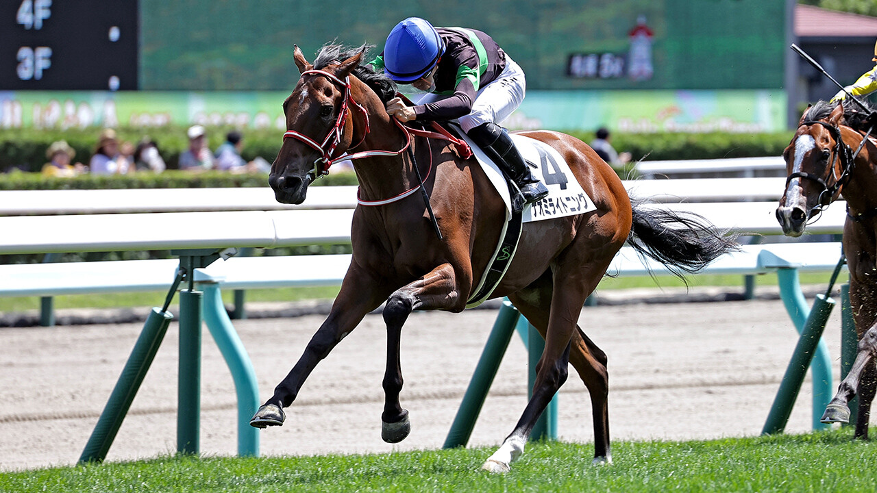 ナオミライトニング 写真