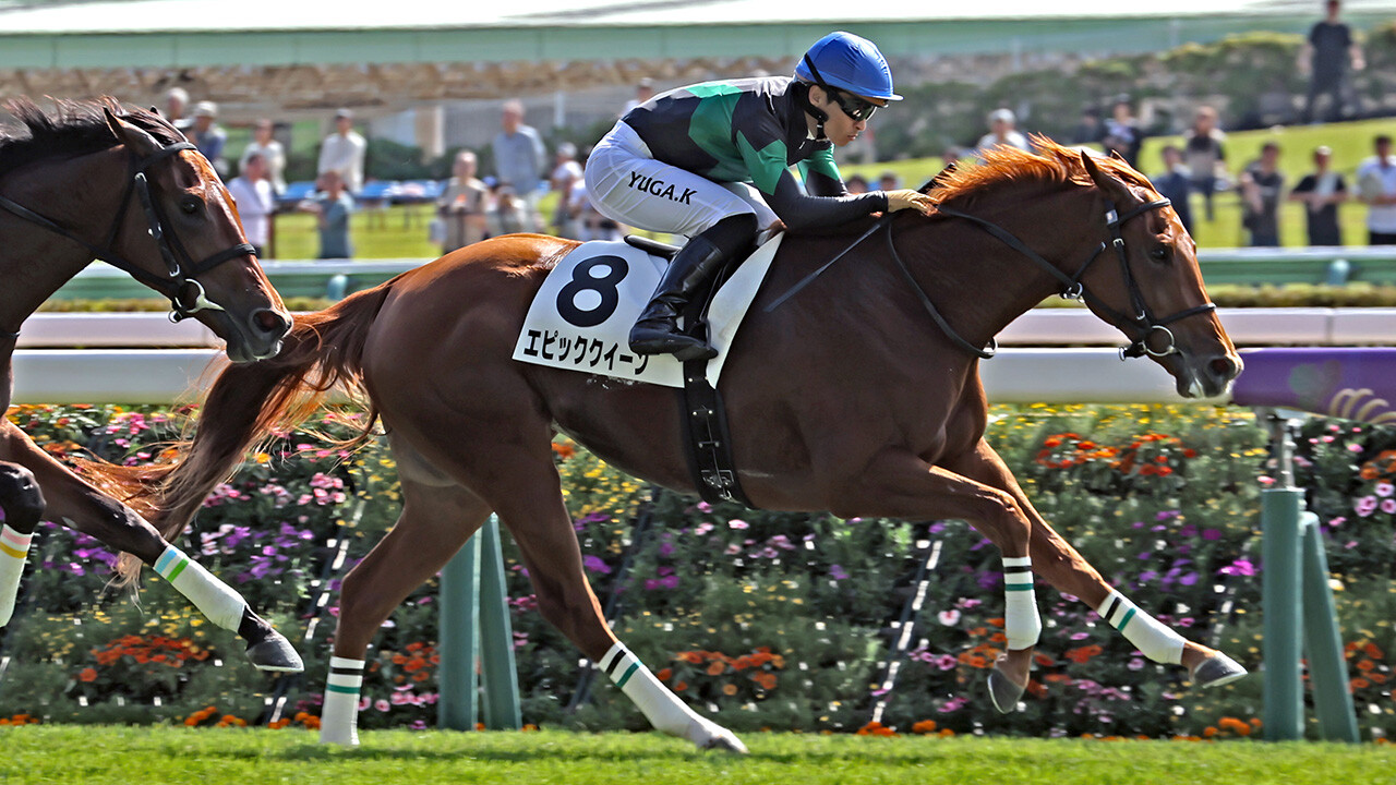 エピッククイーン 写真