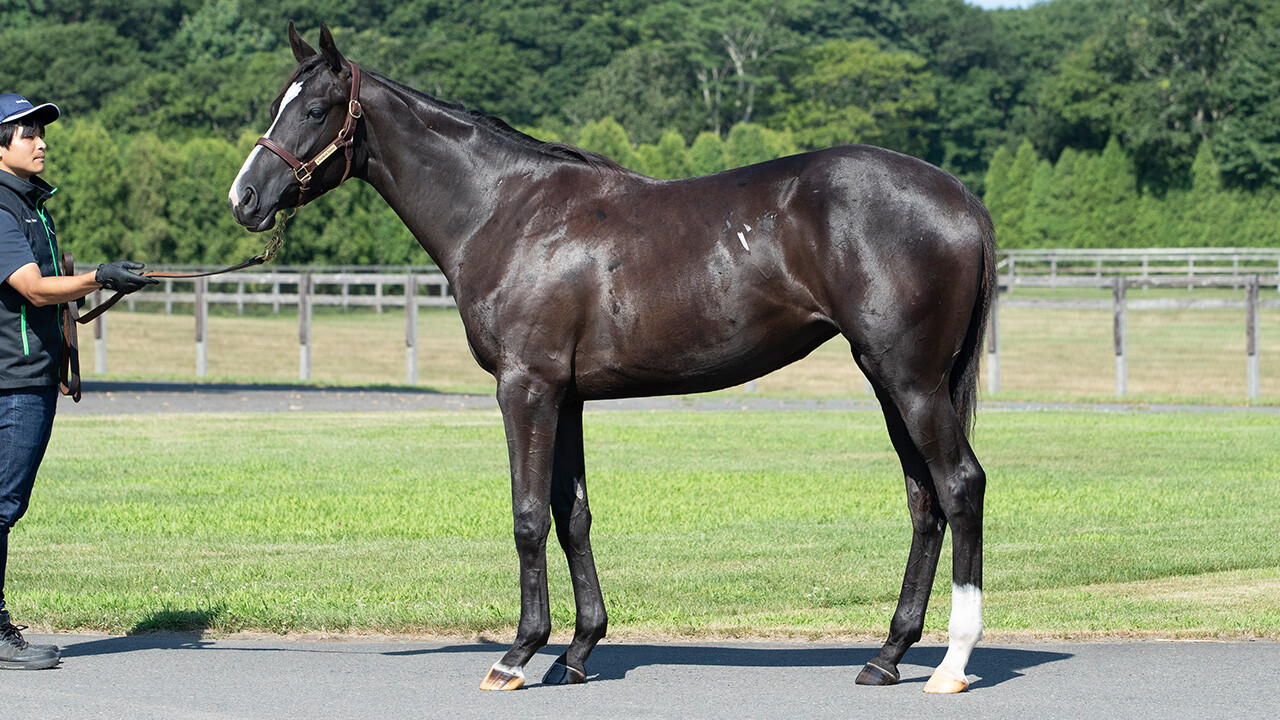 ダブルアンコール2024 写真