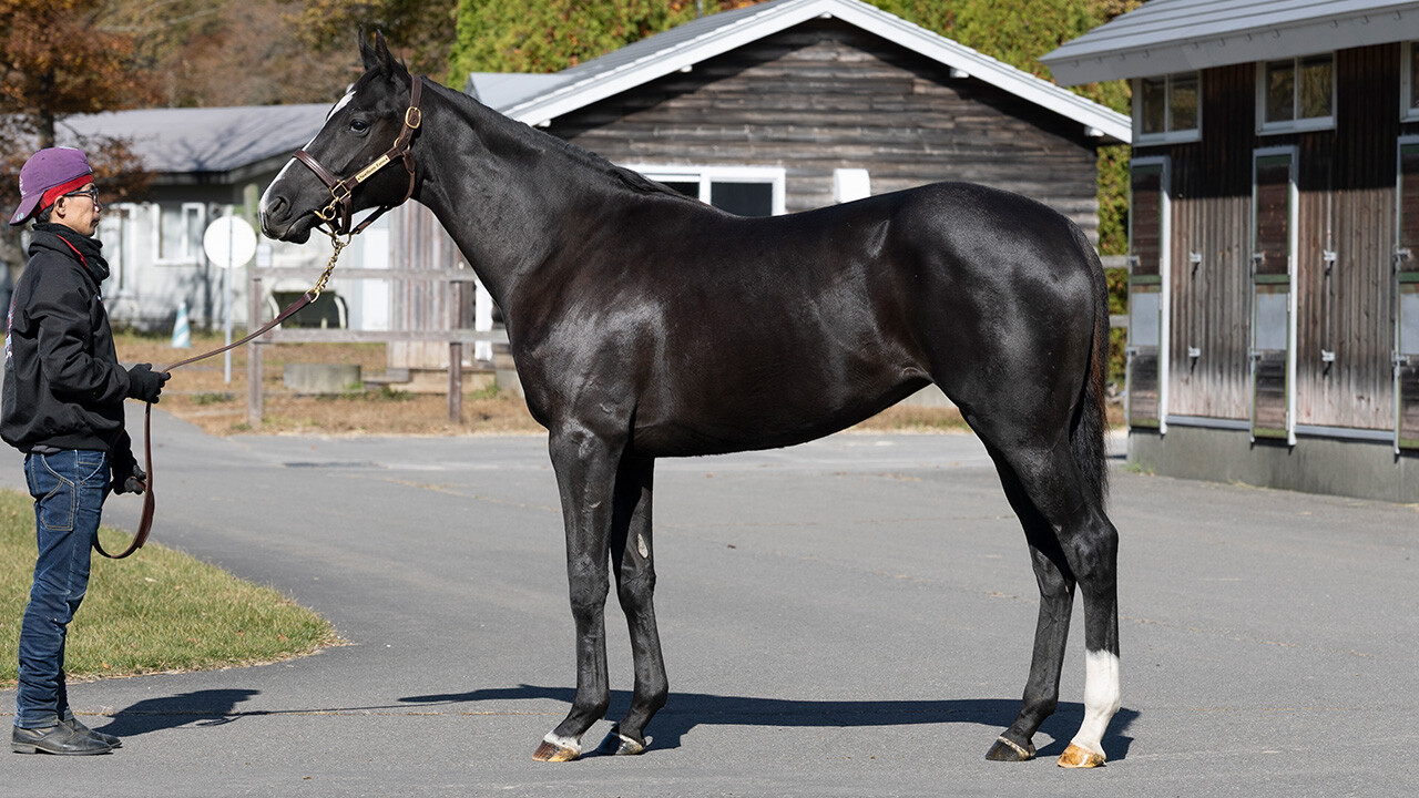 ダブルアンコール2024 写真