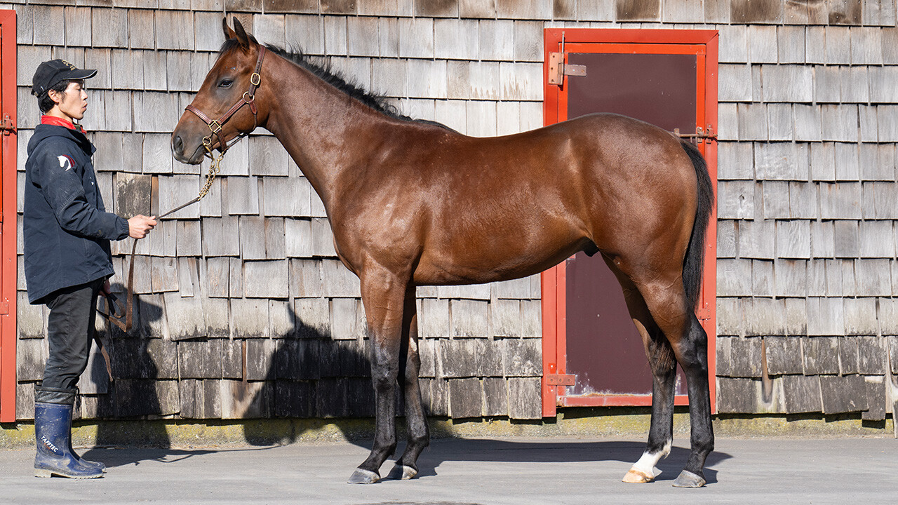 アイワナビリーヴ2024 写真