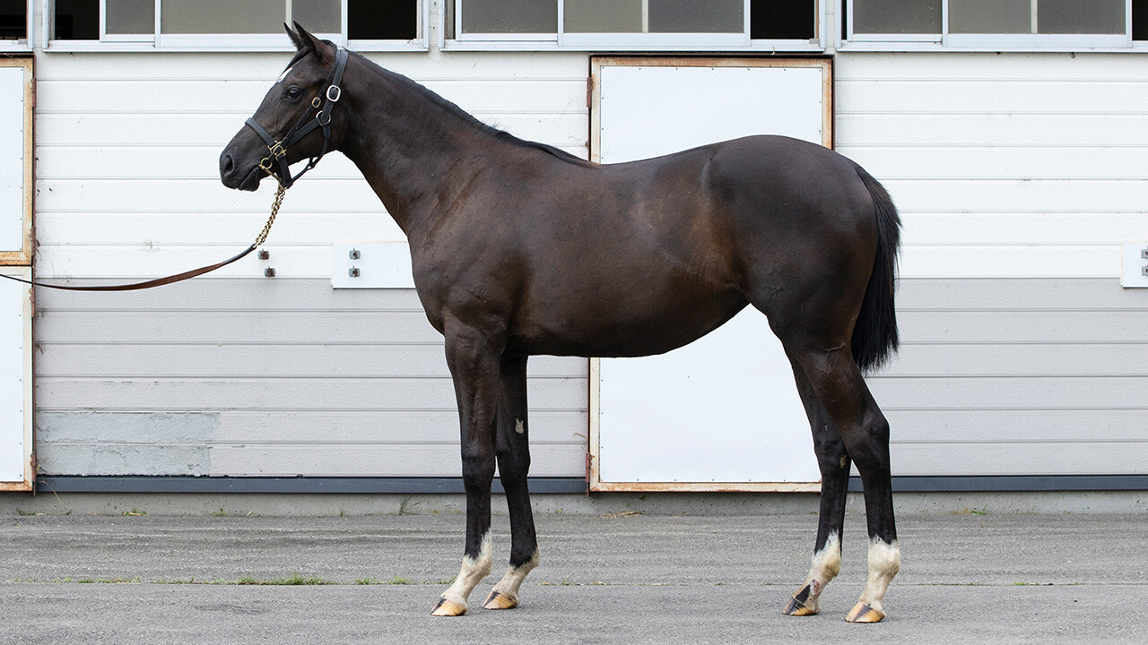 ファイナルドリーム2024 写真