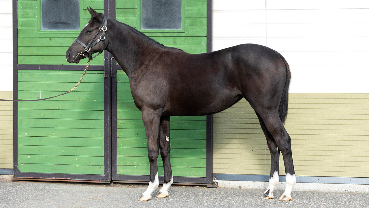 ファイナルドリーム2024 写真