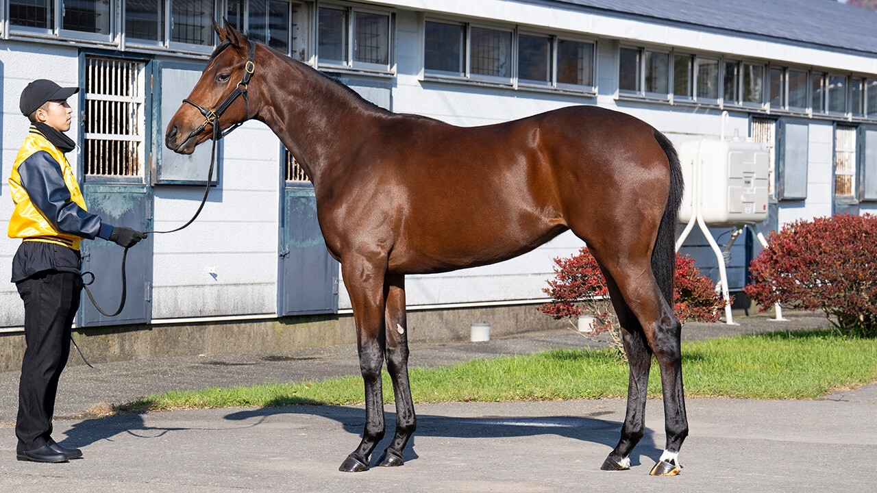 シスタリーラヴ2024 写真