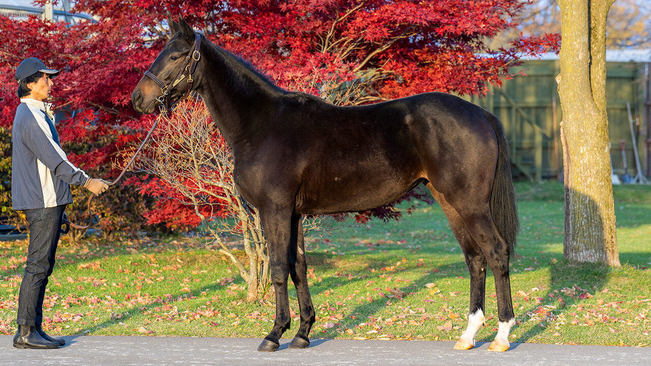 フラッシングジェム2024 写真