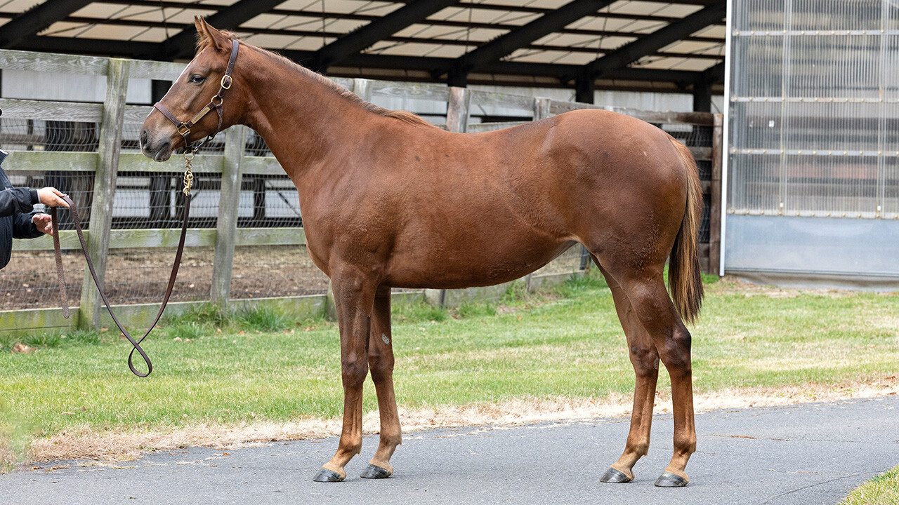 ホートンプレインズ2024 写真