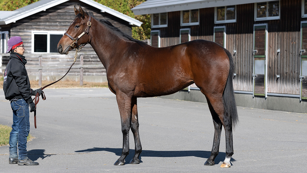 エピックラヴ2024 写真