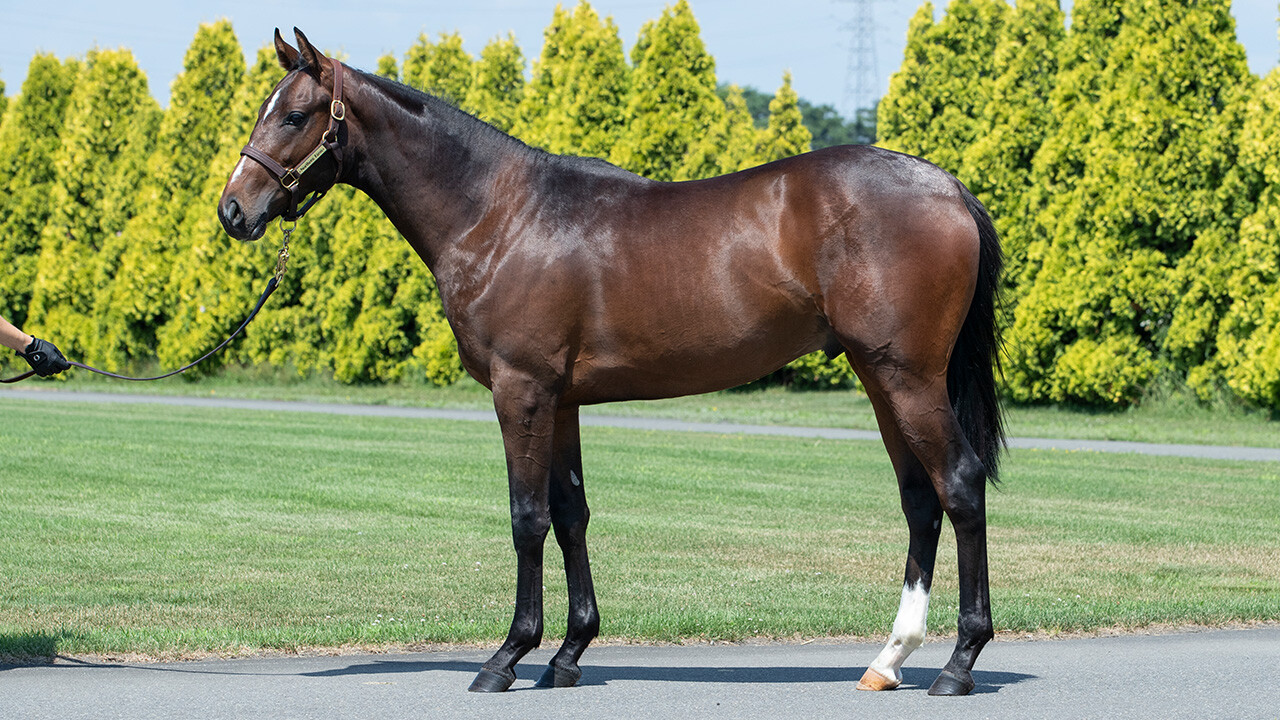 ミスセレンディピティ2024 写真