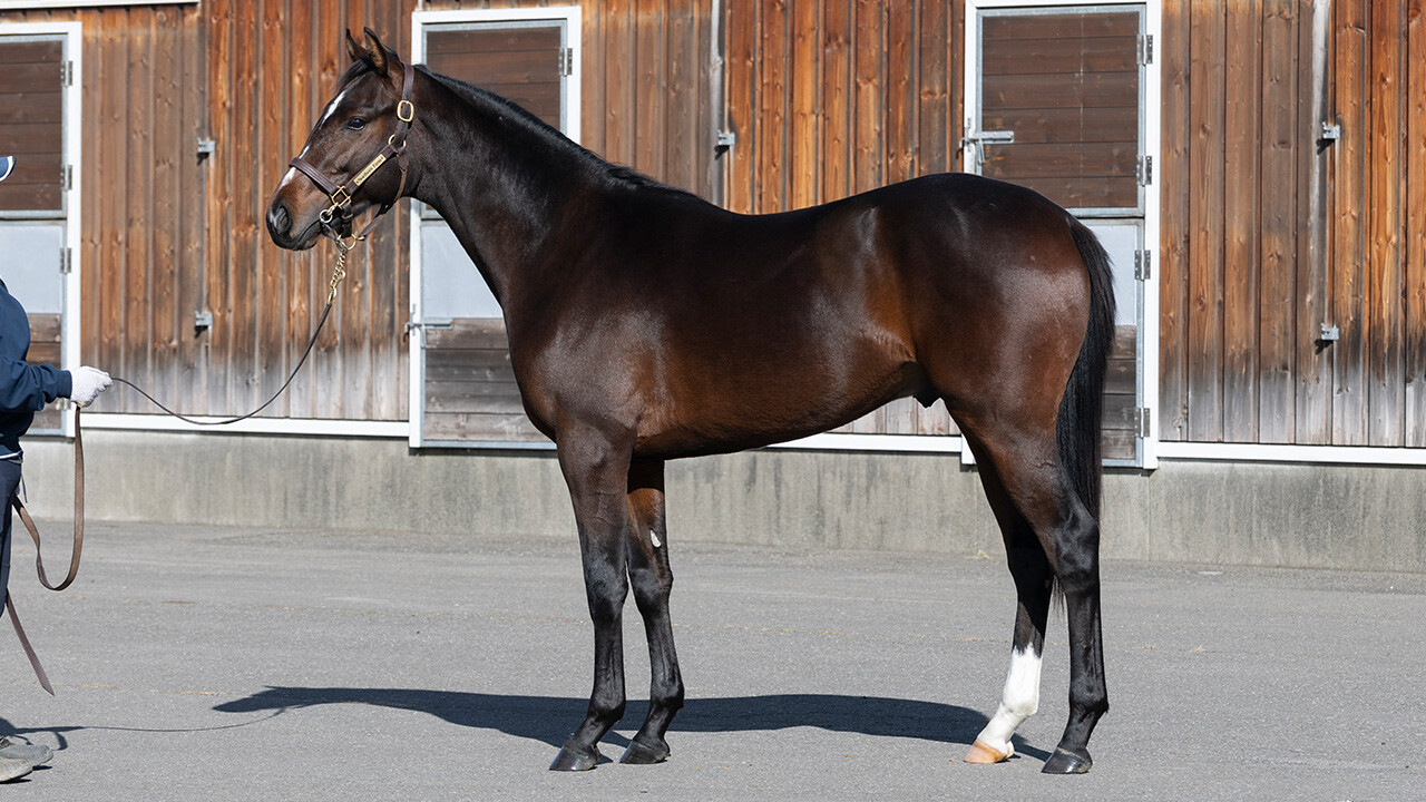 ミスセレンディピティ2024 写真