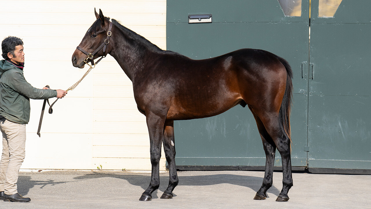 シャンパンレディ2024 写真