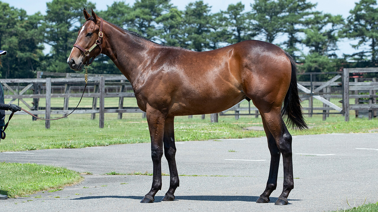 アンフィトリテII2024 写真