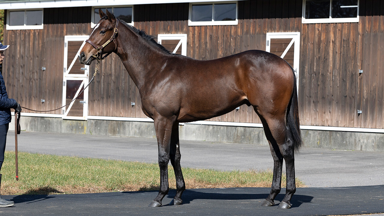 アンフィトリテII2024 写真