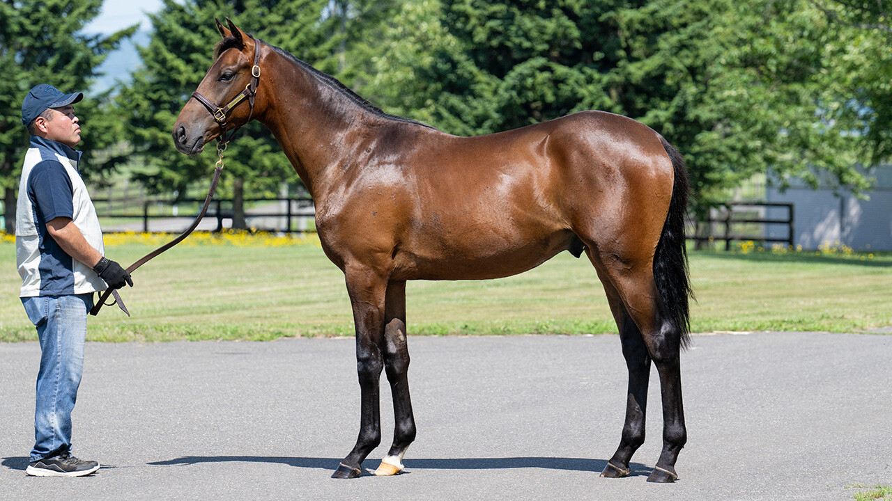 シェーングランツ2024 写真