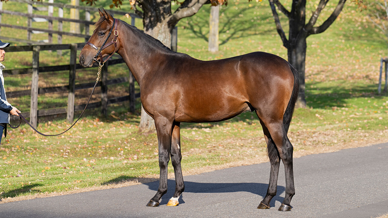 シェーングランツ2024 写真