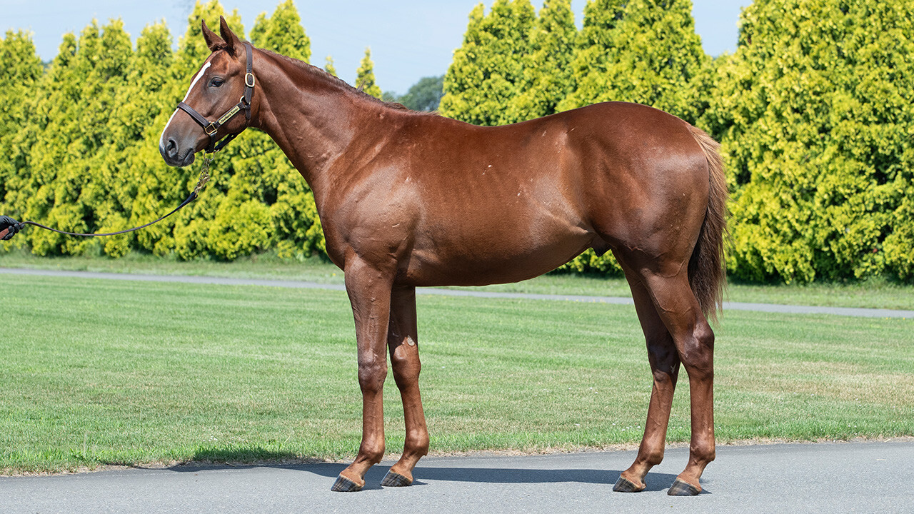 ベルエポック2024 写真