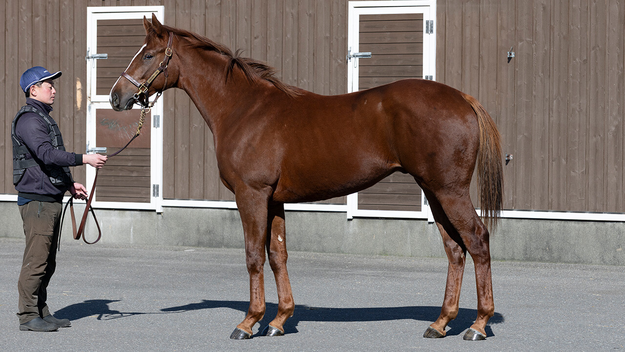 ベルエポック2024 写真