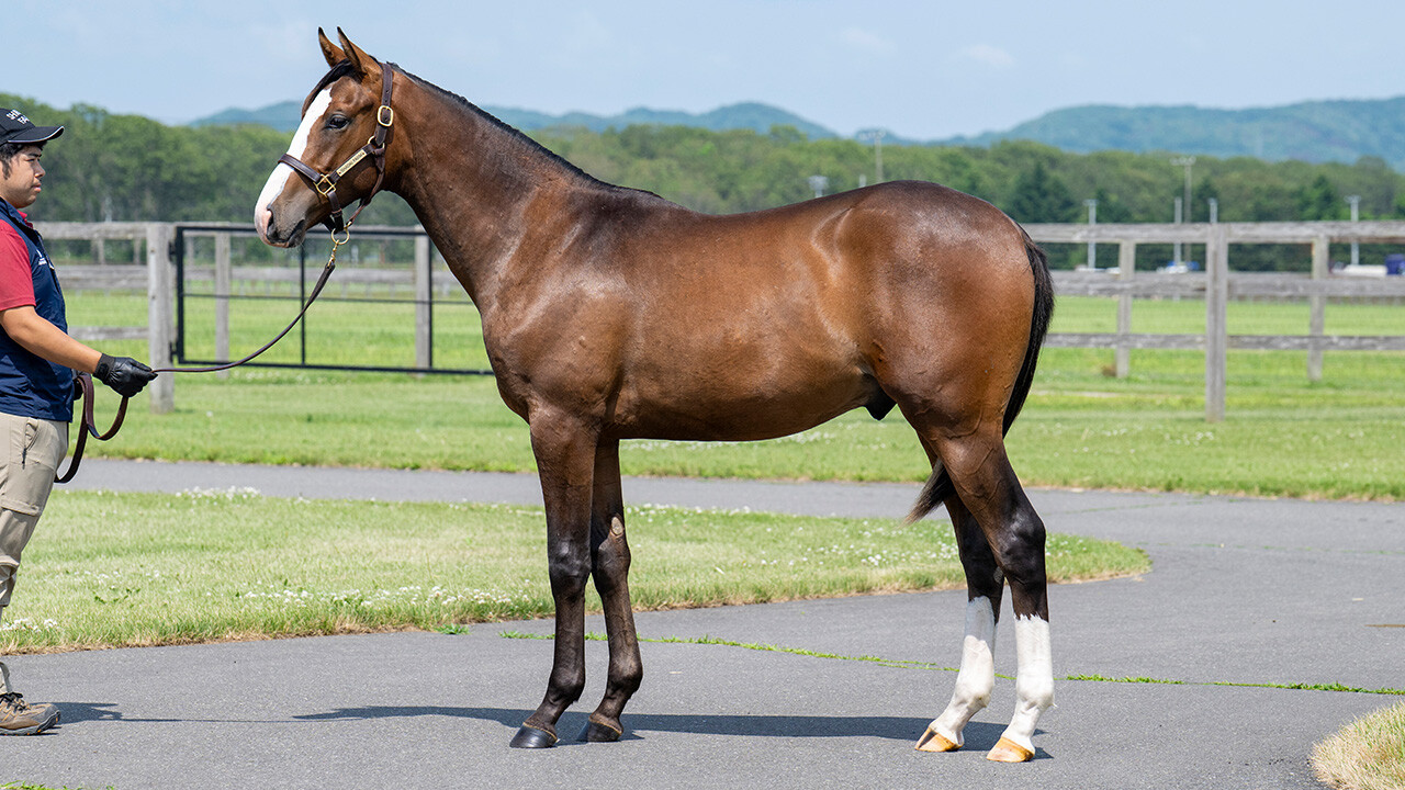 ダイワズーム2024 写真