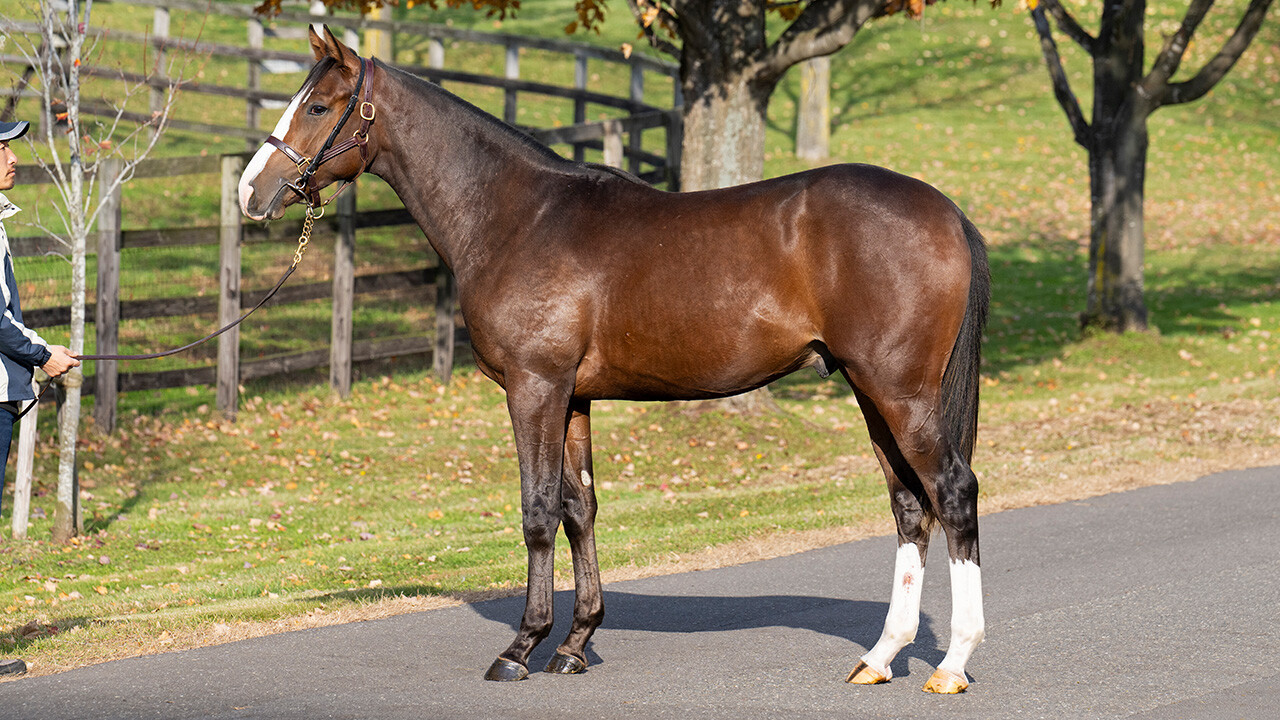 ダイワズーム2024 写真