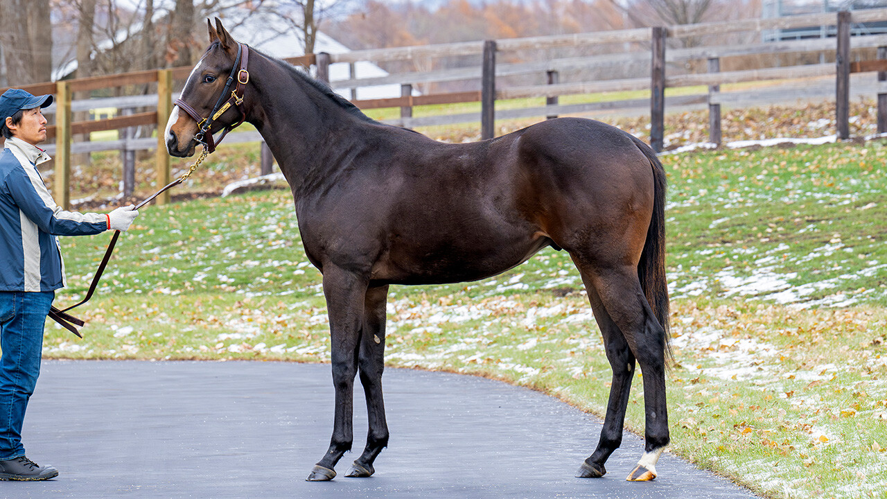 ロングホットサマー2024 写真