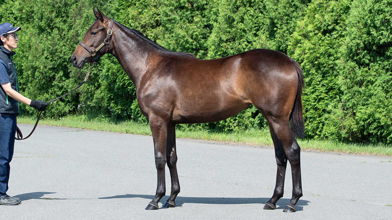 カールファターレ2024 写真