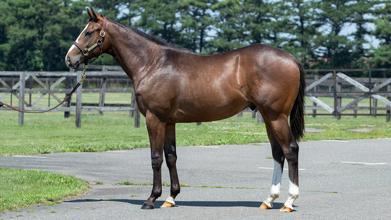 グラヴィタス2024 写真