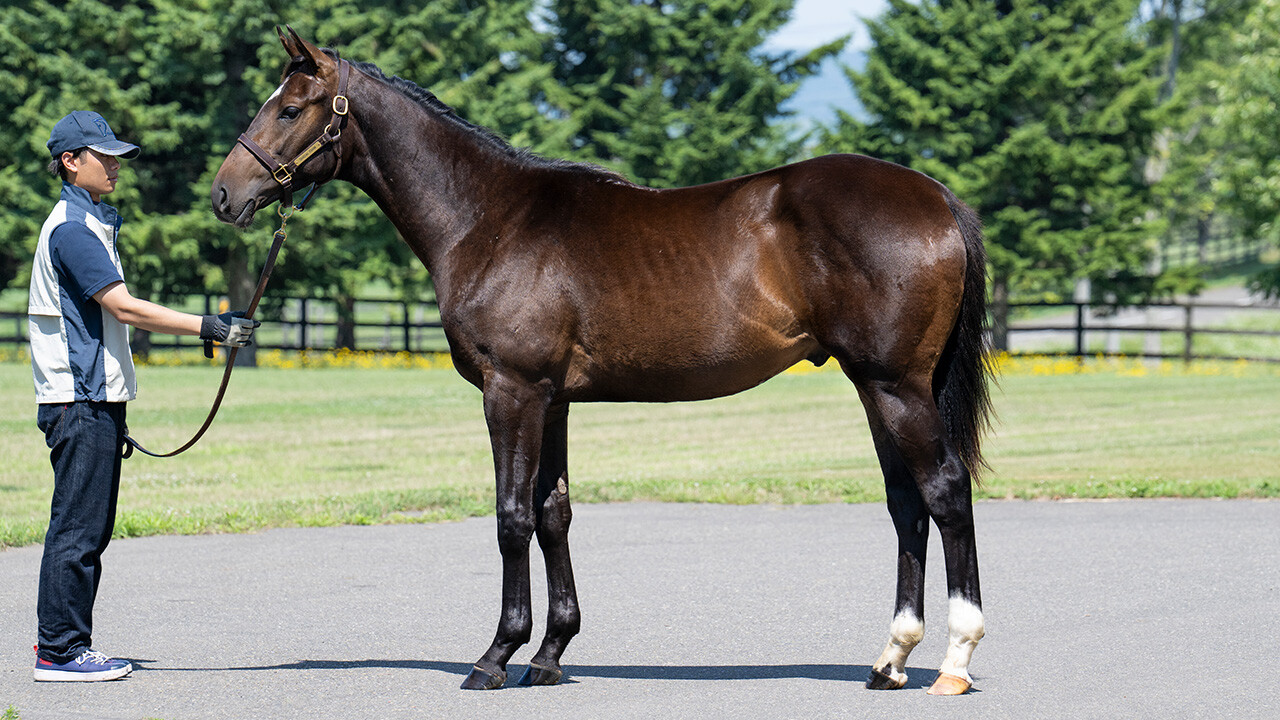 オデュッセイア2024 写真