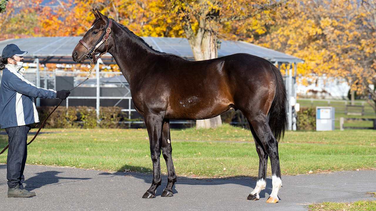 オデュッセイア2024 写真