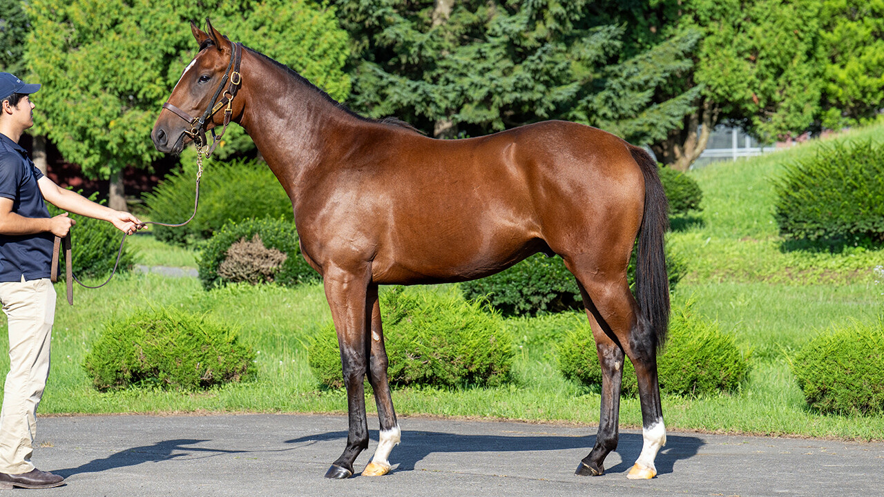 ホールドミータイト2024 写真