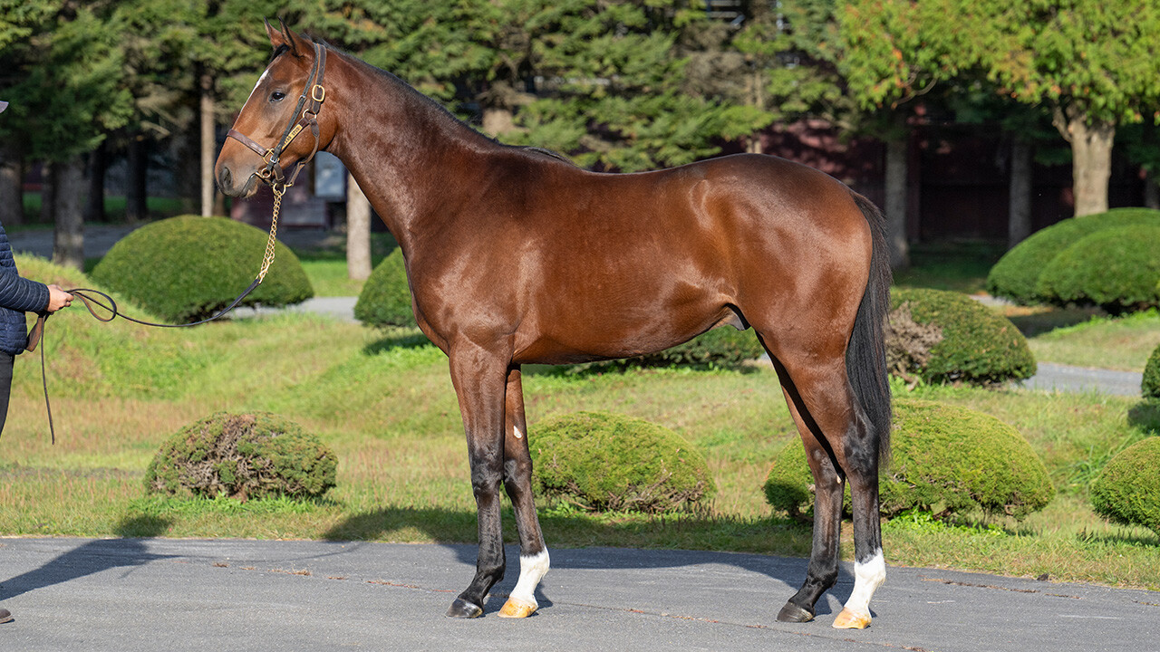 ホールドミータイト2024 写真