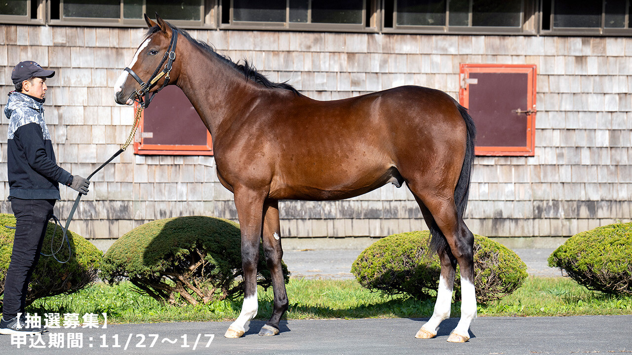 メジロシャレード2024 写真