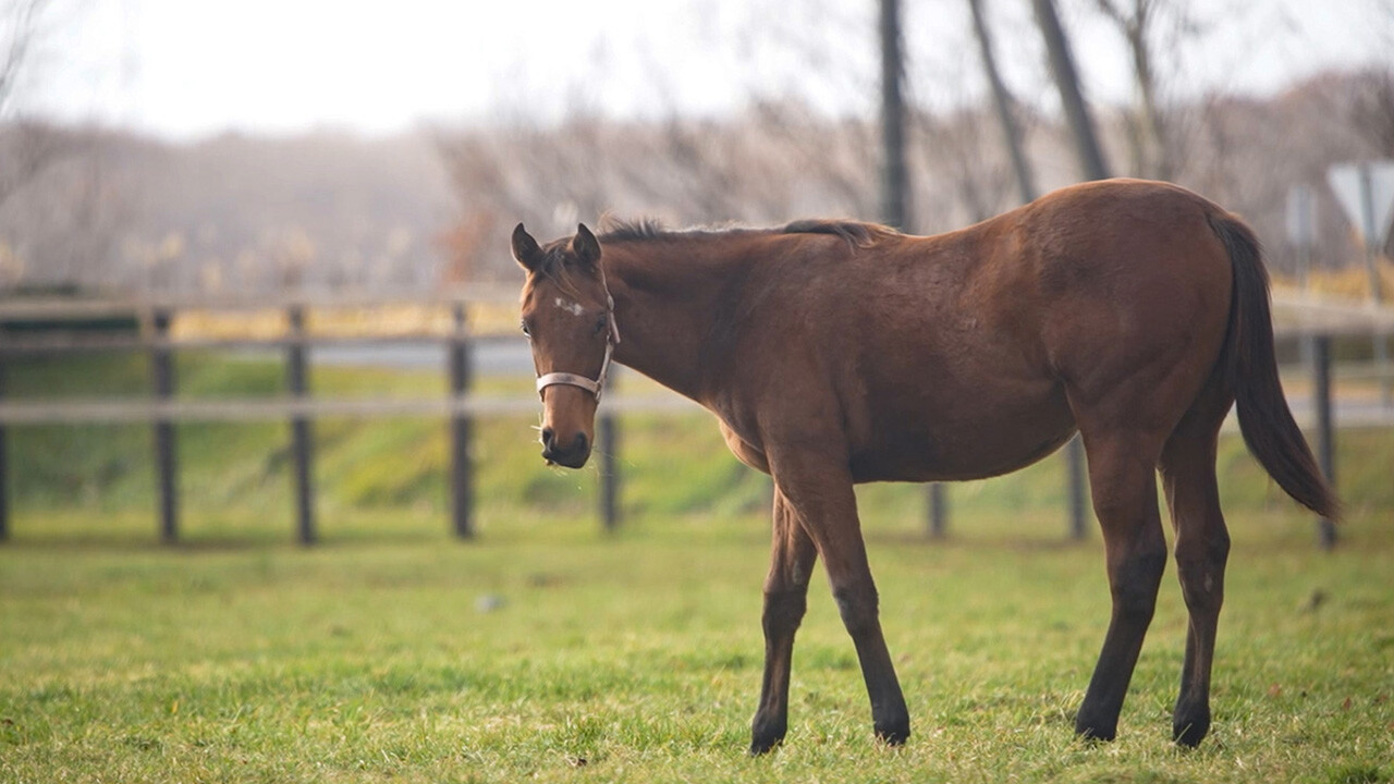 シャンパンルーム2025 写真